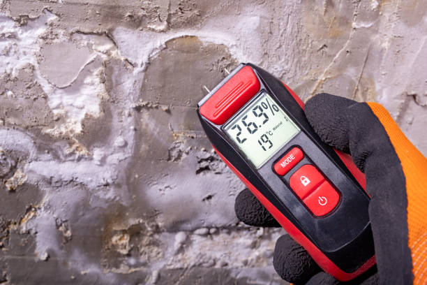 Best Kitchen Mold Remediation in West Lafayette, IN